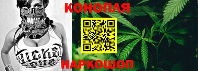 крисы Донской