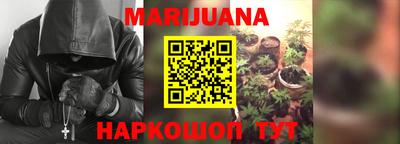 крисы Донской