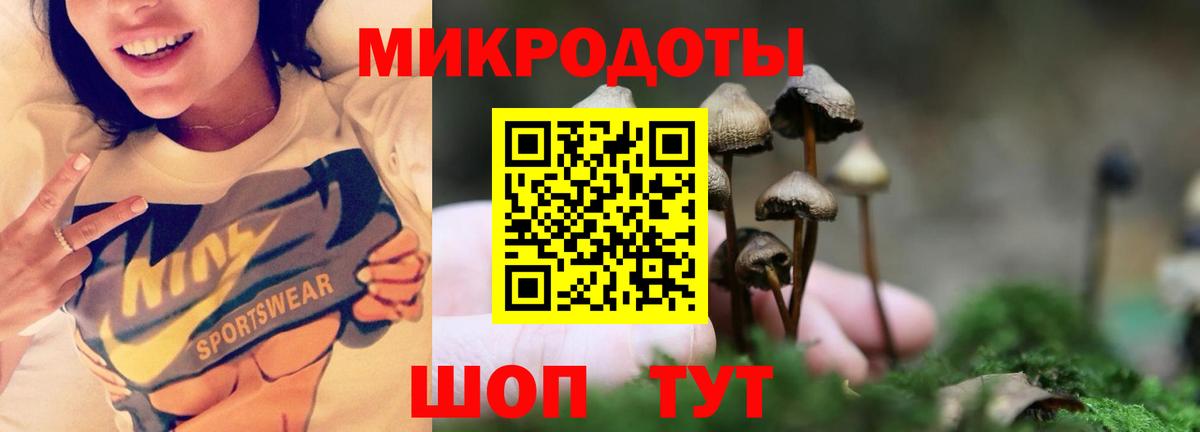 Минусинск  Псилоцибиновые грибы Cubensis  Вход с VPN  Псилоцибиновые грибы Cubensis 